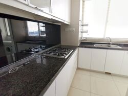 The Metropolitan Condominium (D3), Condominium #561380171